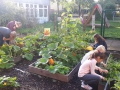 Kinder arbeiten in unserem Schulgarten